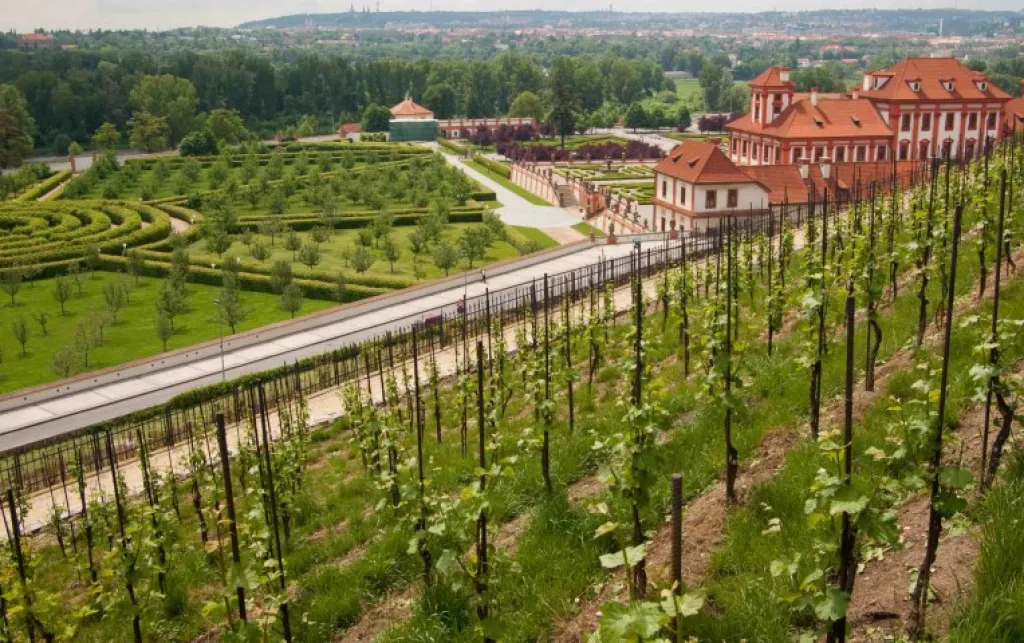 View of Troja Chateau and the vineyards of St. Klara