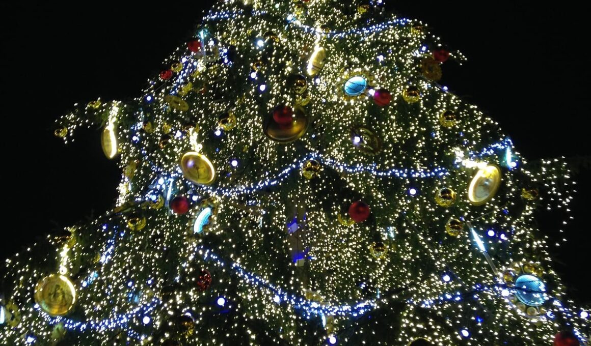 Tree Prague Christmas