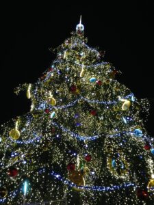 Tree Prague Christmas