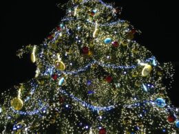 Baum Prag Weihnachten