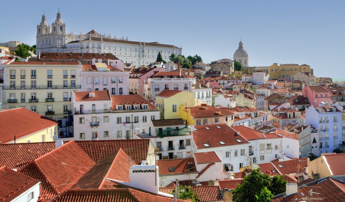 Lizbon manzarası