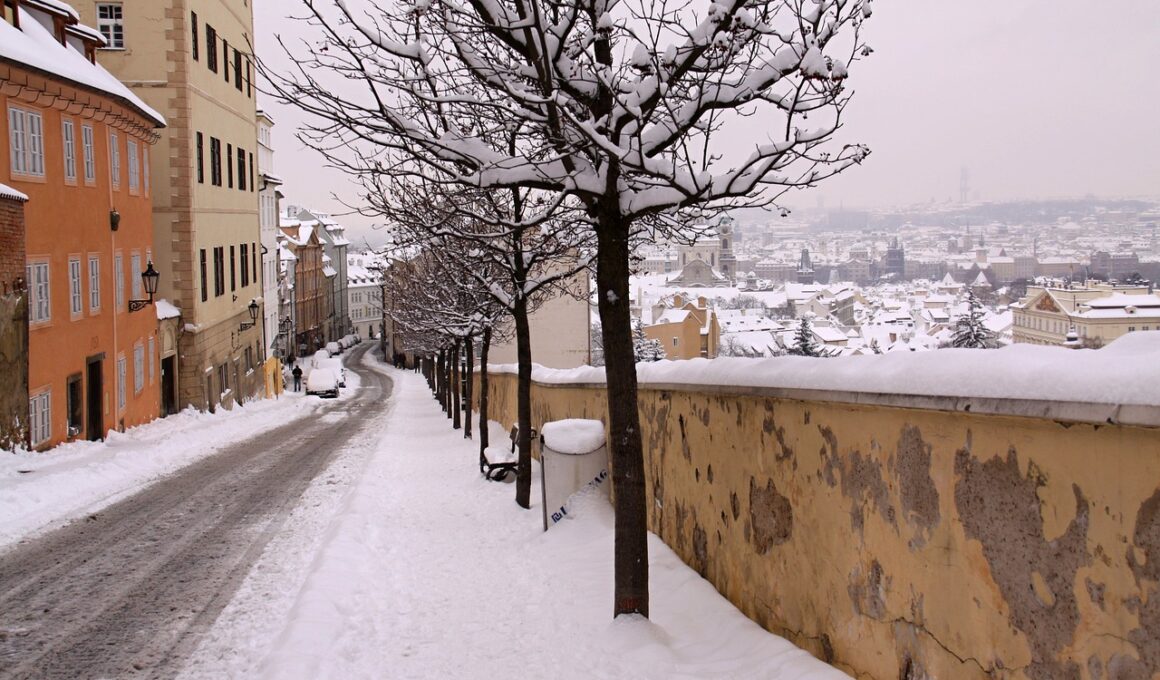 Praga w zimie