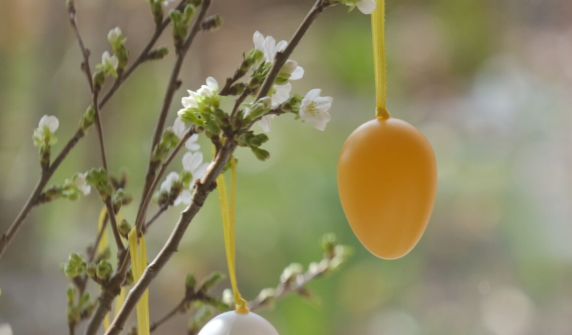 Αυγά Πάσχα Πάσχα Παραδόσεις στην Τσεχική Δημοκρατία