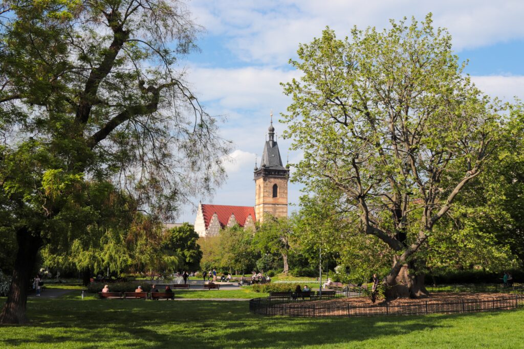 Parc w Pradze