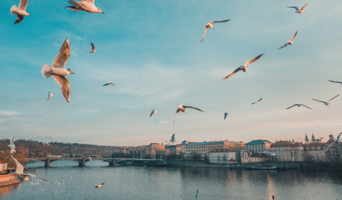 10 fascinujících faktů o Praze
