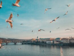 10 fatti affascinanti su Praga