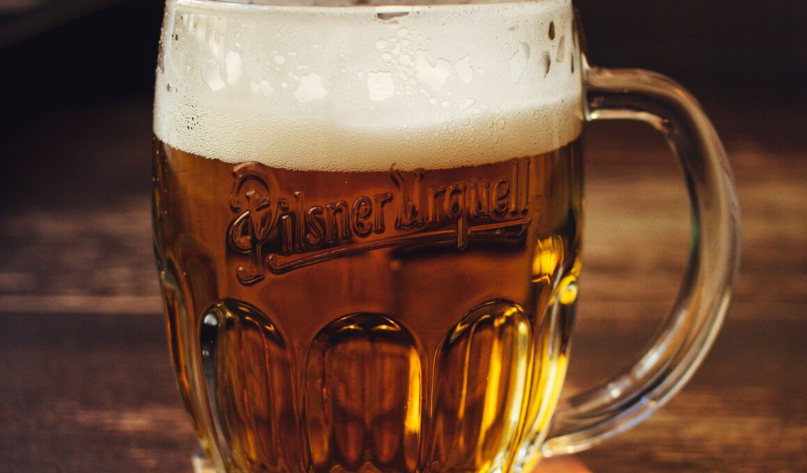 Prag's älteste Brauerei in U Fleku