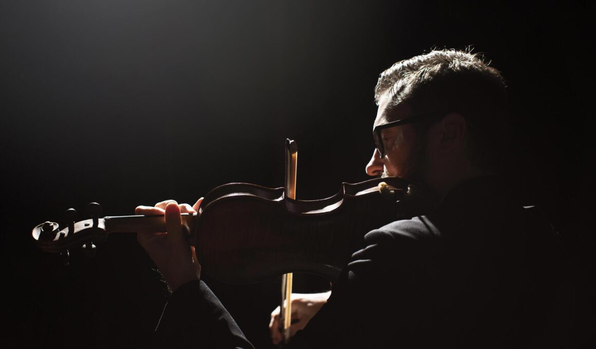The Music Festival in Prague 2025-2026 aims to thrill listeners with seven evenings of exceptional classical performances.