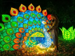 Discover the Magic of the Garden of Lights Prague in 2025-2026